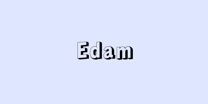 Edam