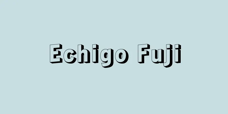 Echigo Fuji