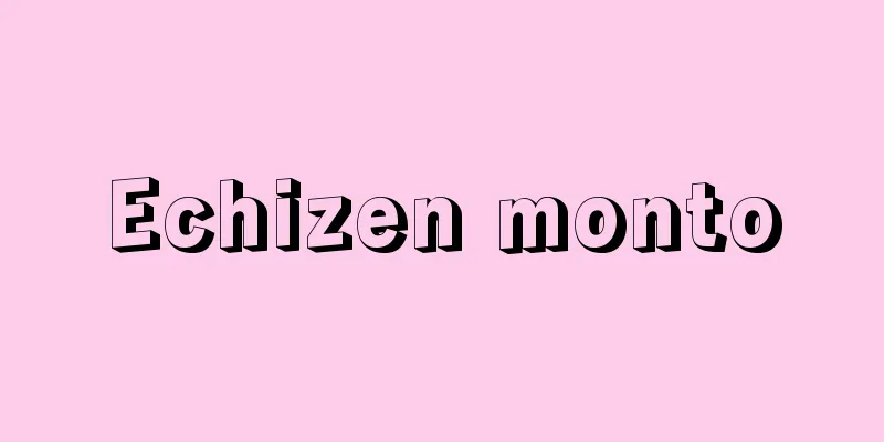 Echizen monto