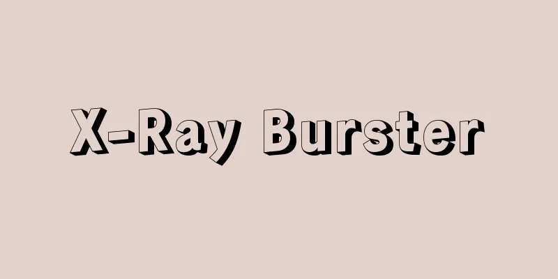 X-Ray Burster