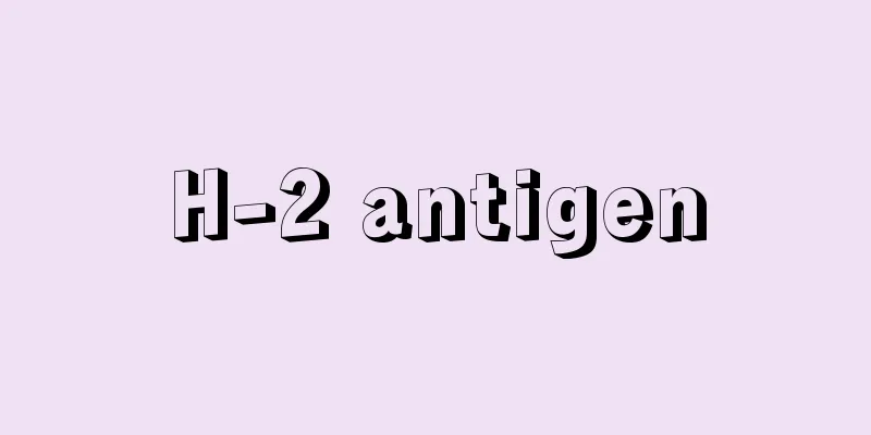 H-2 antigen