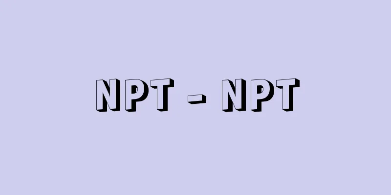 NPT - NPT