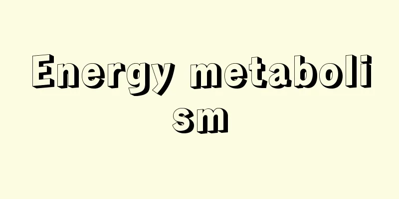 Energy metabolism
