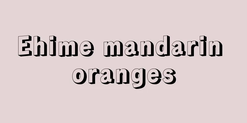 Ehime mandarin oranges