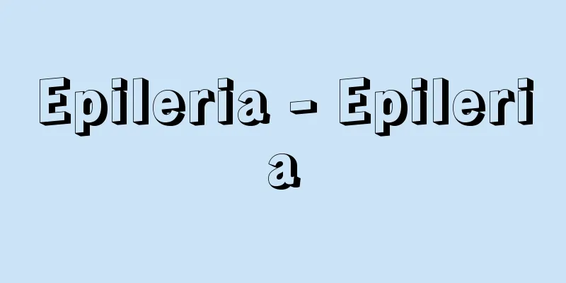 Epileria - Epileria