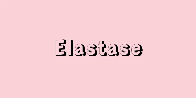 Elastase