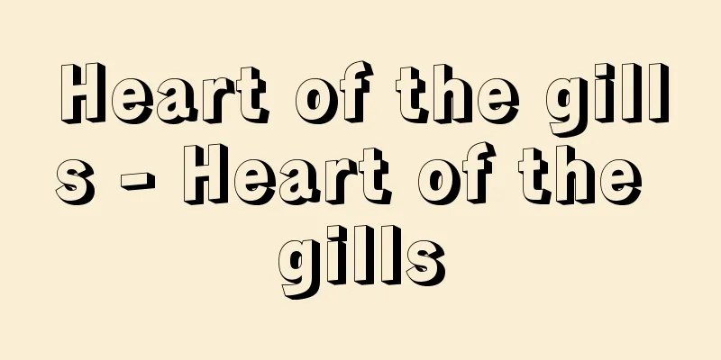 Heart of the gills - Heart of the gills