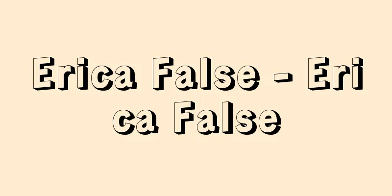 Erica False - Erica False