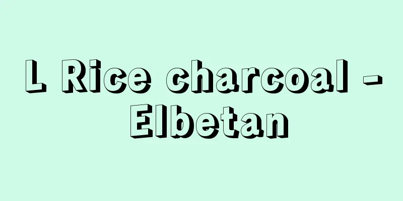 L Rice charcoal - Elbetan