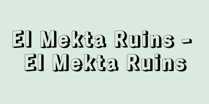 El Mekta Ruins - El Mekta Ruins
