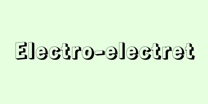 Electro-electret