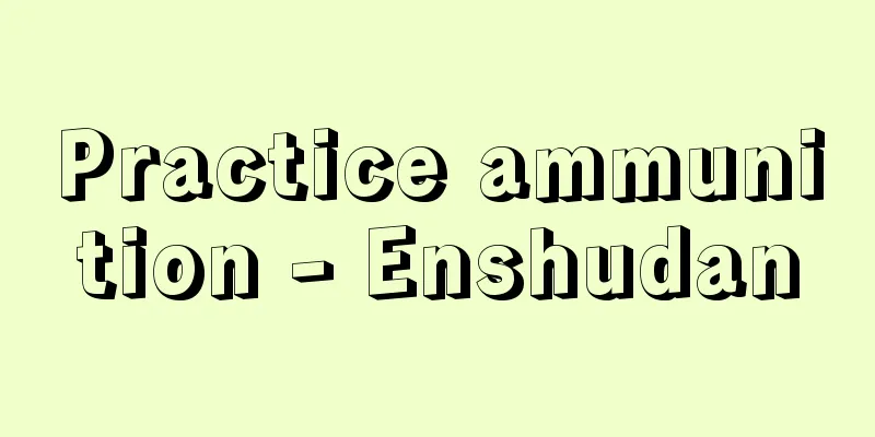 Practice ammunition - Enshudan