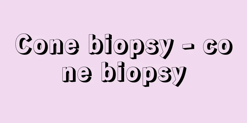 Cone biopsy - cone biopsy