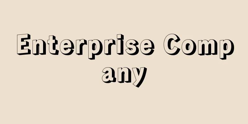 Enterprise Company