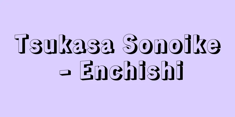 Tsukasa Sonoike - Enchishi