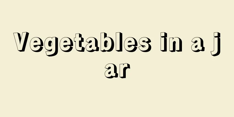 Vegetables in a jar