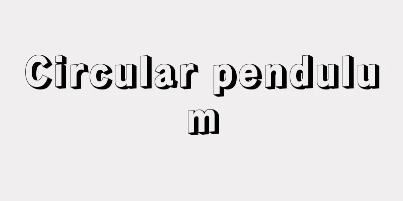 Circular pendulum