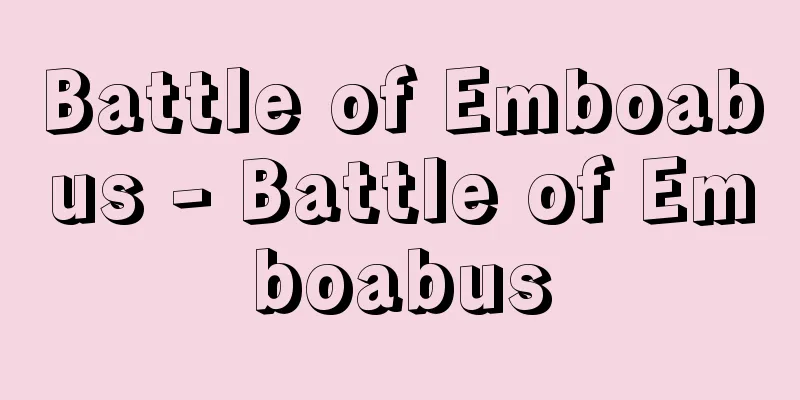 Battle of Emboabus - Battle of Emboabus