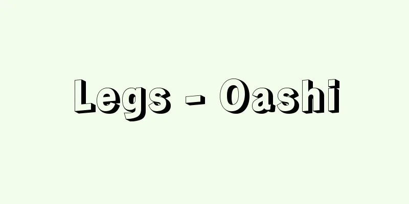 Legs - Oashi