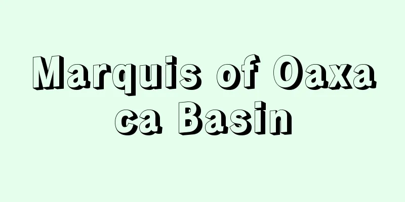Marquis of Oaxaca Basin