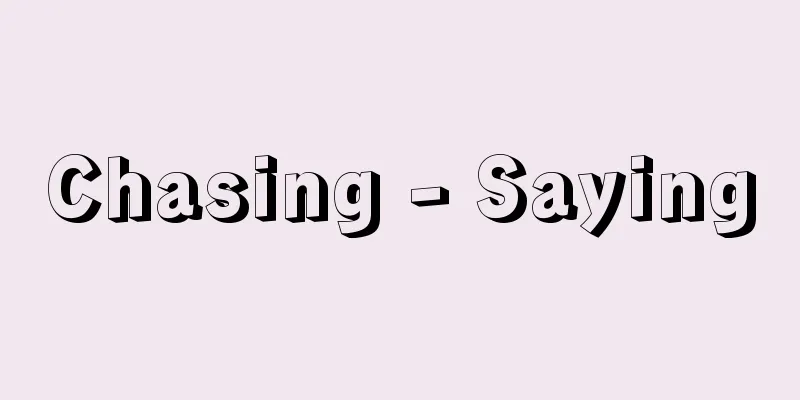 Chasing - Saying