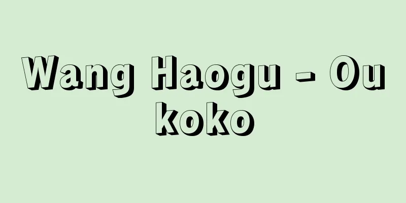 Wang Haogu - Oukoko