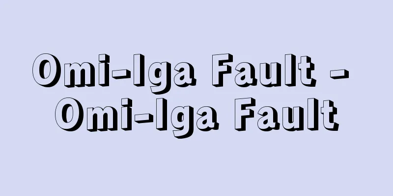 Omi-Iga Fault - Omi-Iga Fault
