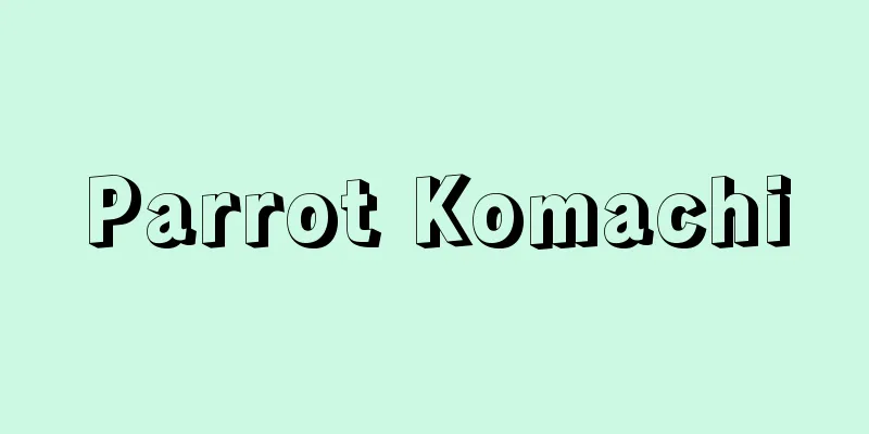 Parrot Komachi