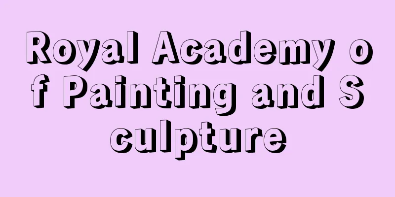 Royal Academy of Painting and Sculpture