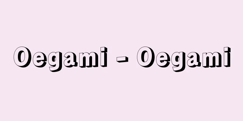 Oegami - Oegami