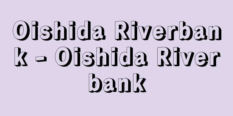 Oishida Riverbank - Oishida Riverbank