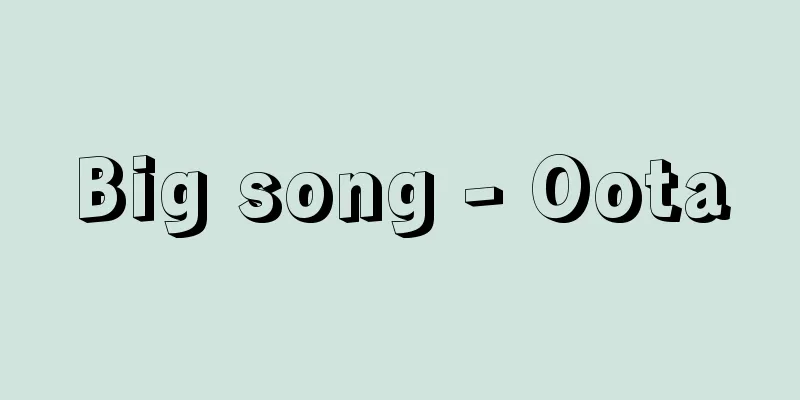 Big song - Oota