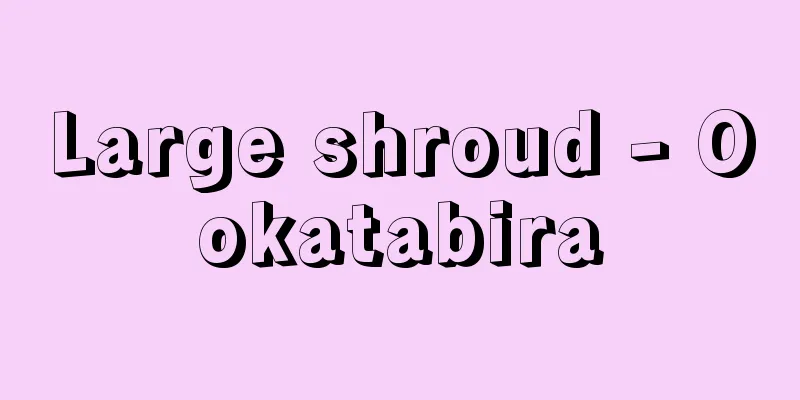 Large shroud - Ookatabira
