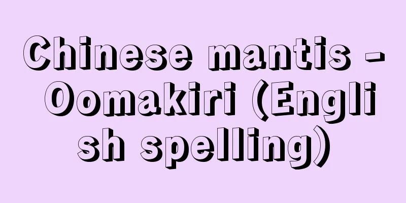 Chinese mantis - Oomakiri (English spelling)
