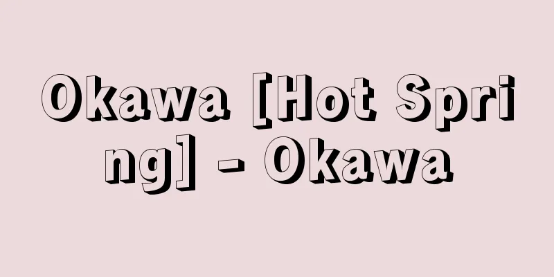 Okawa [Hot Spring] - Okawa