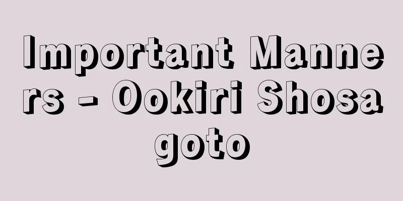 Important Manners - Ookiri Shosagoto