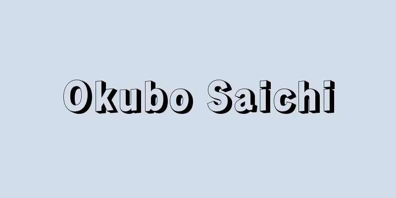Okubo Saichi