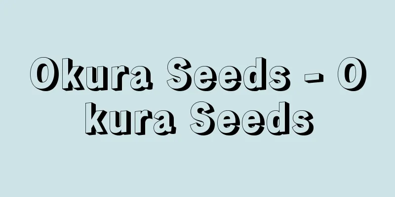Okura Seeds - Okura Seeds