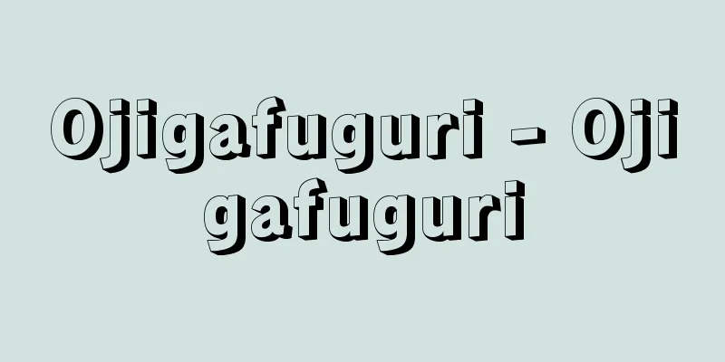 Ojigafuguri - Ojigafuguri