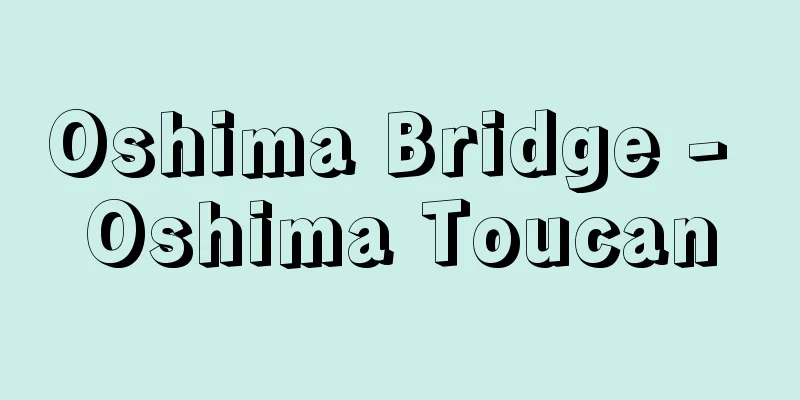 Oshima Bridge - Oshima Toucan