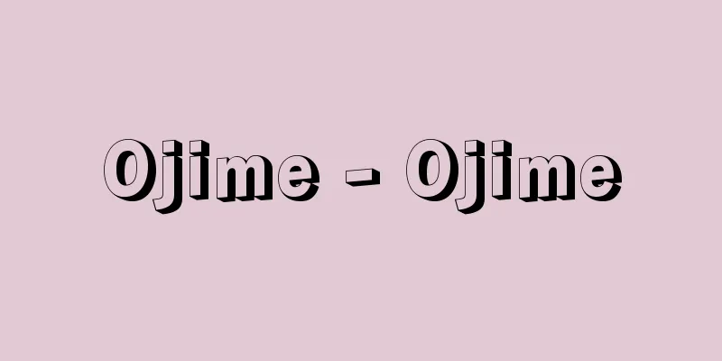 Ojime - Ojime