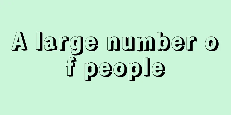 A large number of people