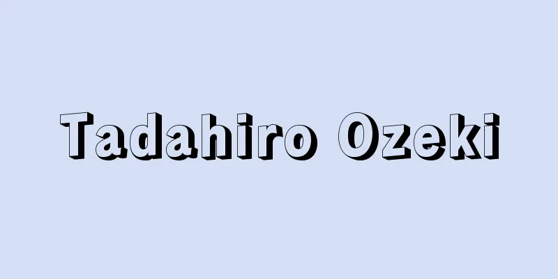 Tadahiro Ozeki