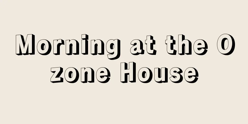Morning at the Ozone House
