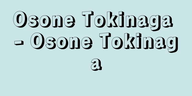 Osone Tokinaga - Osone Tokinaga
