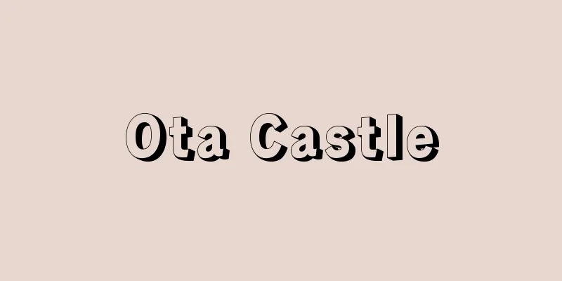 Ota Castle