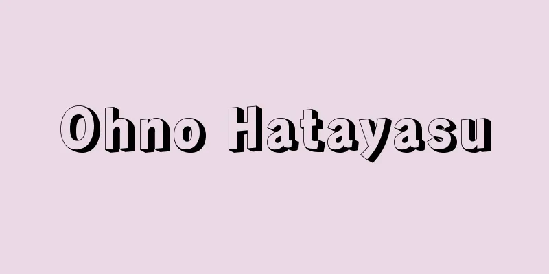 Ohno Hatayasu