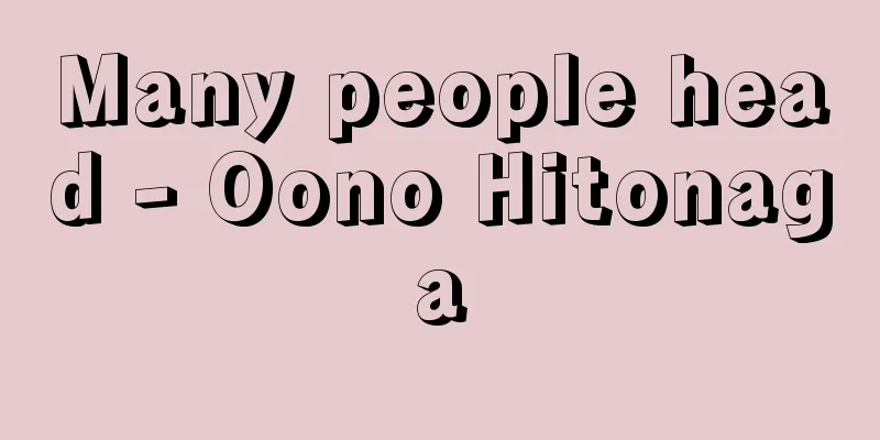Many people head - Oono Hitonaga