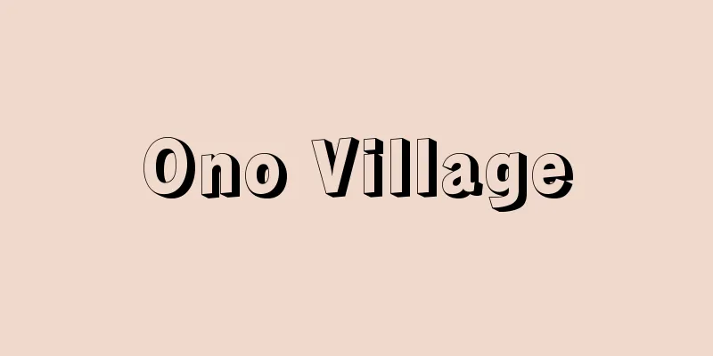 Ono Village