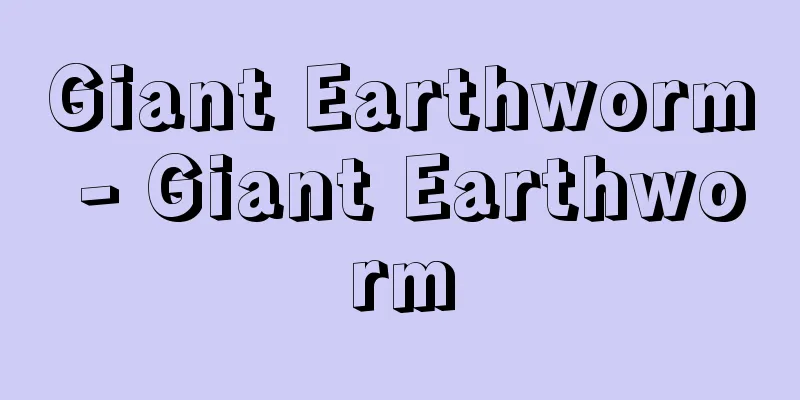 Giant Earthworm - Giant Earthworm